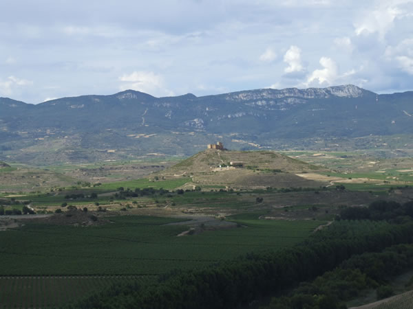 Mismo paisaje en julio 09