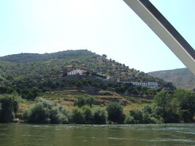 Quinta en el Douro