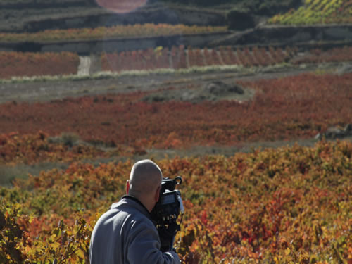 Zev grabando con viñedos al fondo