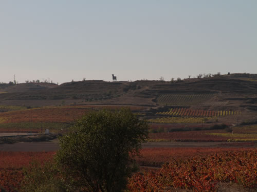 Paisaje con Toro al fondo