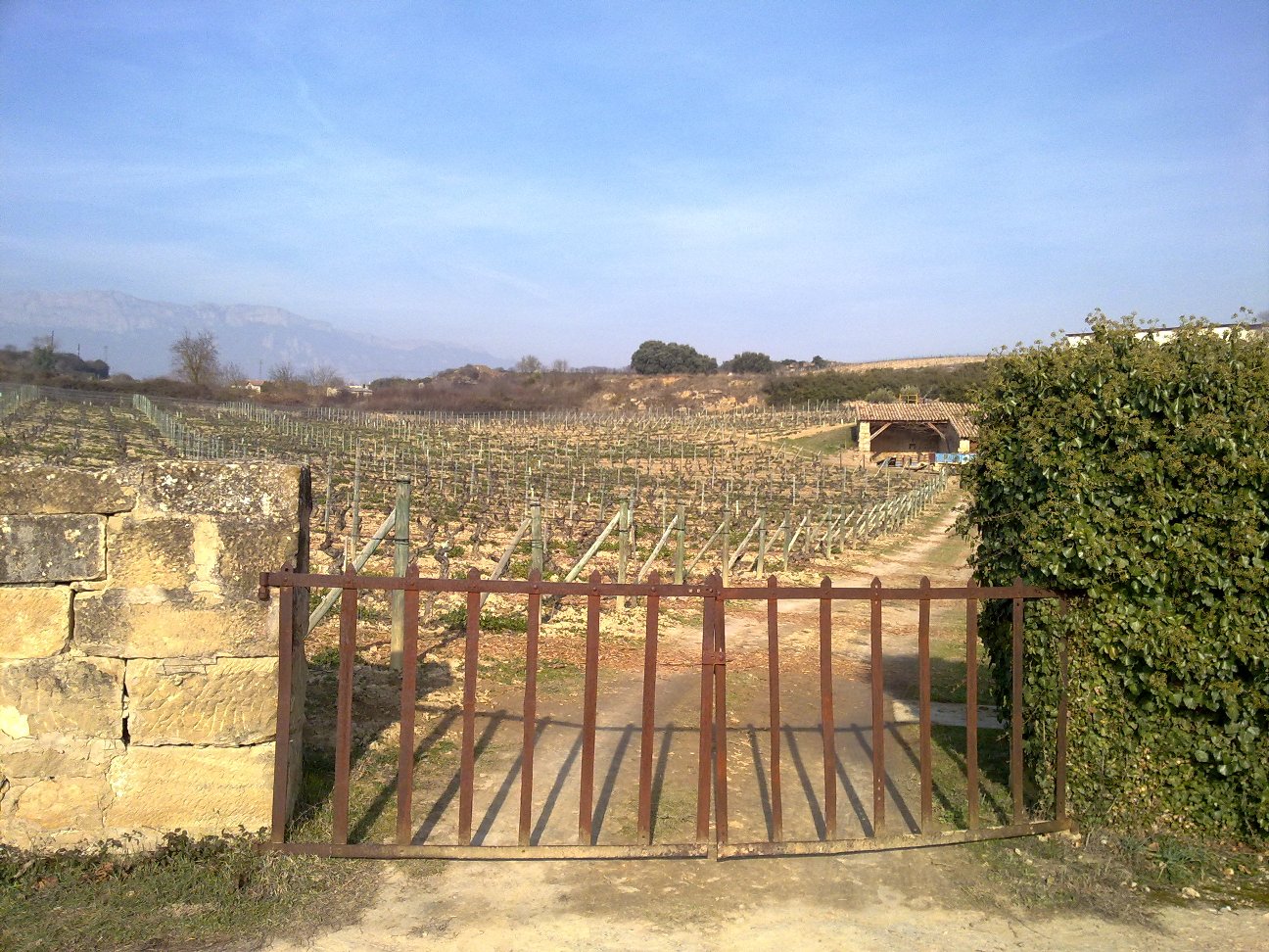 Verja de entrada a la Viña