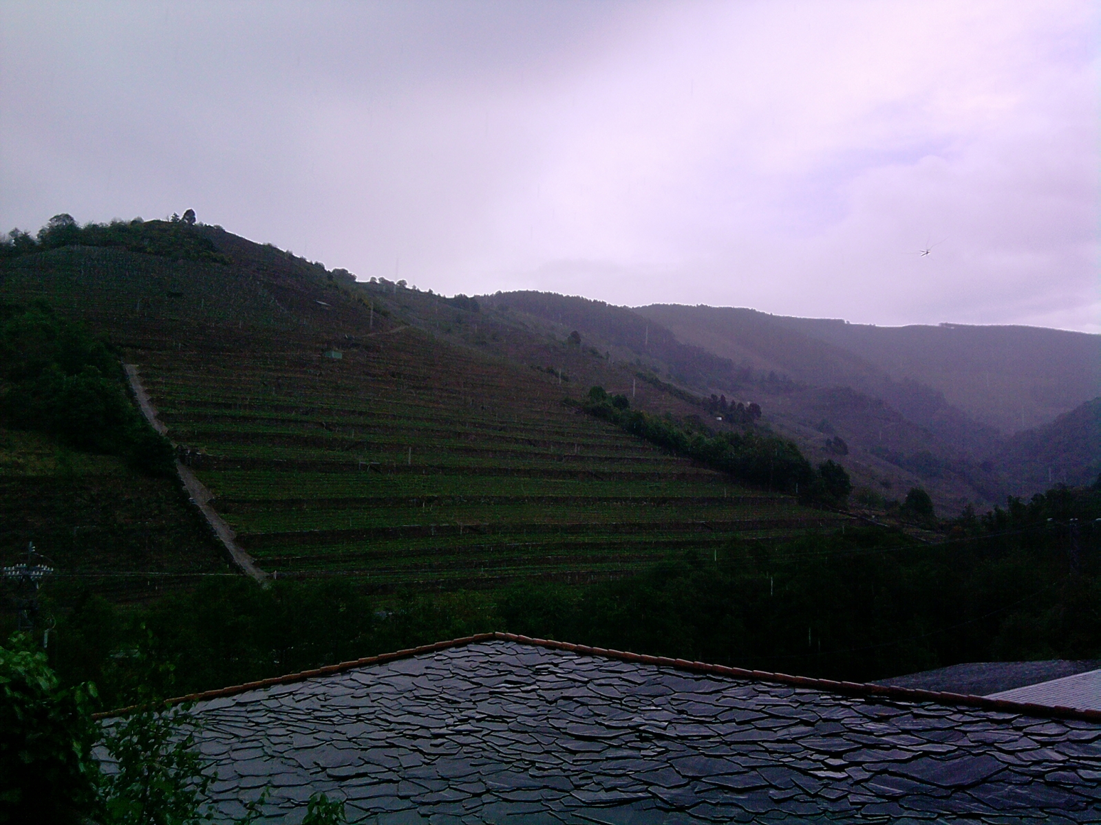 Vistas desde la sala de catas