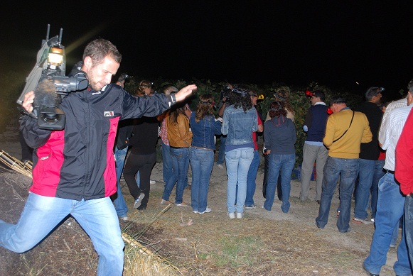 Pago de Tharsys Vendimia Nocturna