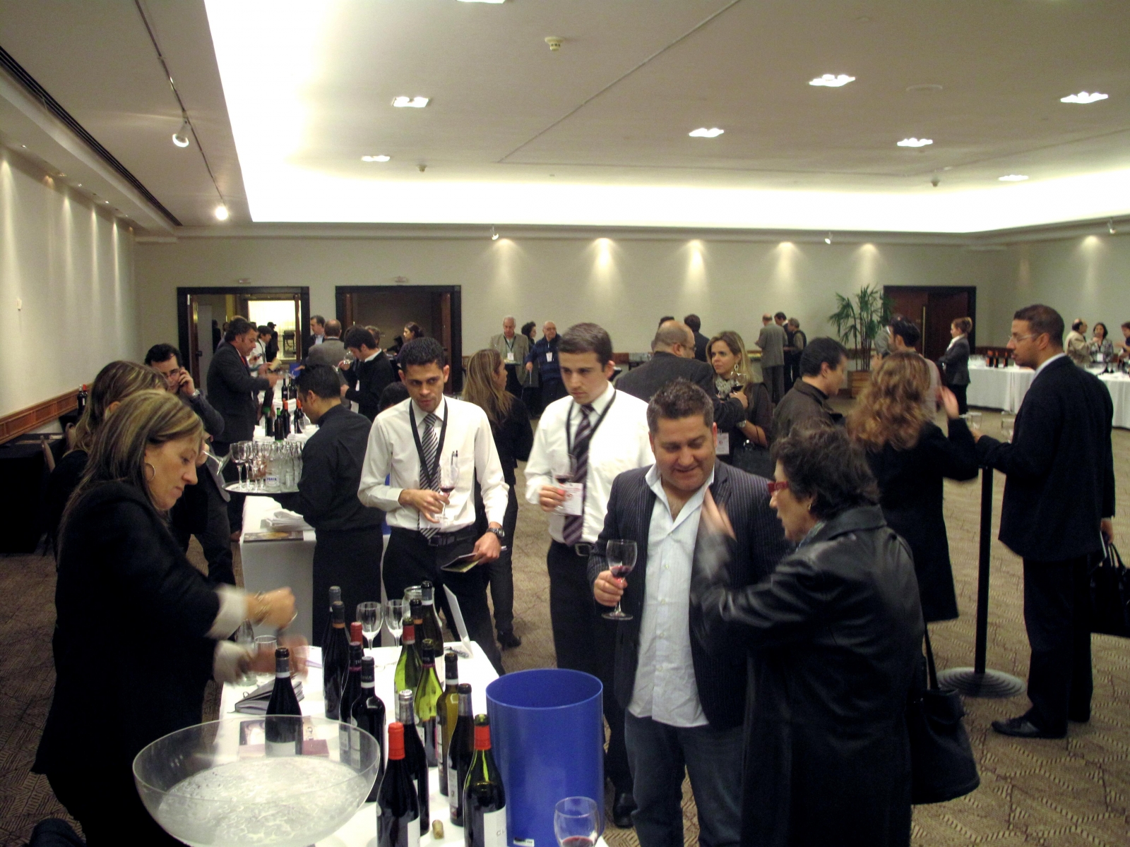 vinos D.O Bierzo