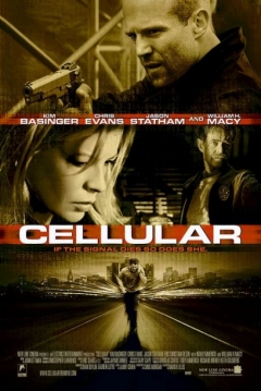 Poster Cellular