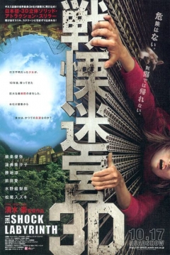 Poster The Shock Labyrinth 3D