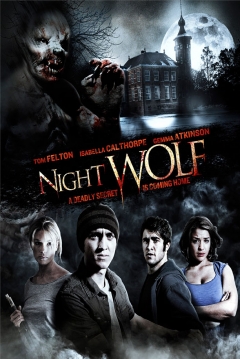 Poster Night Wolf