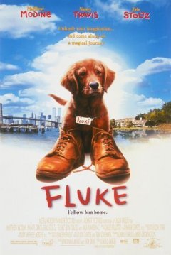 Poster Fluke (Mi amigo Fluke)