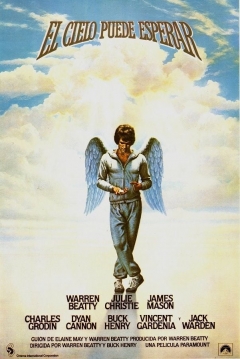 Poster El Cielo Puede Esperar