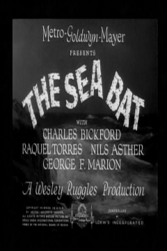 Poster The Sea Bat