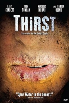 Poster Desierto Maldito