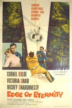 Poster Al Borde de la Eternidad