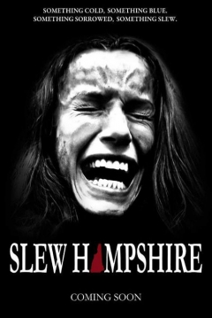 Poster Slew Hampshire