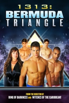 Poster 1313: Bermuda Triangle