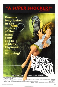 Poster Point of Terror