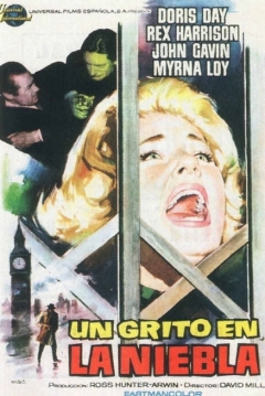 Poster Un Grito en la Niebla