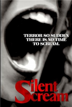 Poster Grito Silencioso