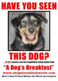 Poster A Dog's Breakfast