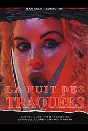 Poster Acoso en la Noche