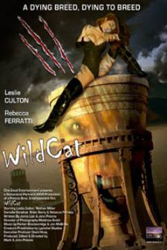 Poster WildCat