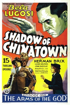 Poster Shadow of Chinatown