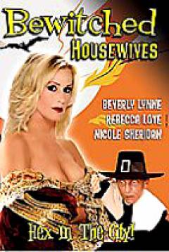 Poster Bewitched Housewives 