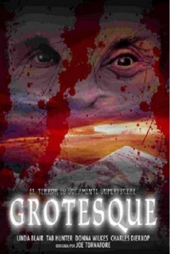 Poster Grotesque