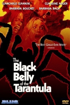 Poster La Tar�ntula del Vientre Negro