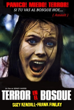 Poster Terror En El Bosque