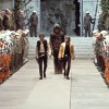 galeria de imagenes