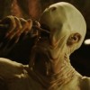 galeria de imagenes