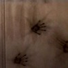 V/H/S