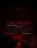 The Reeds