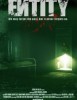 Entity