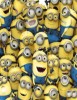 estreno dvd Minions