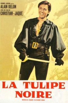 estreno television El Tulip�n Negro