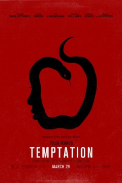 Poster The Marriage Counselor
