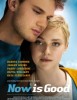 estreno dvd Now Is Good