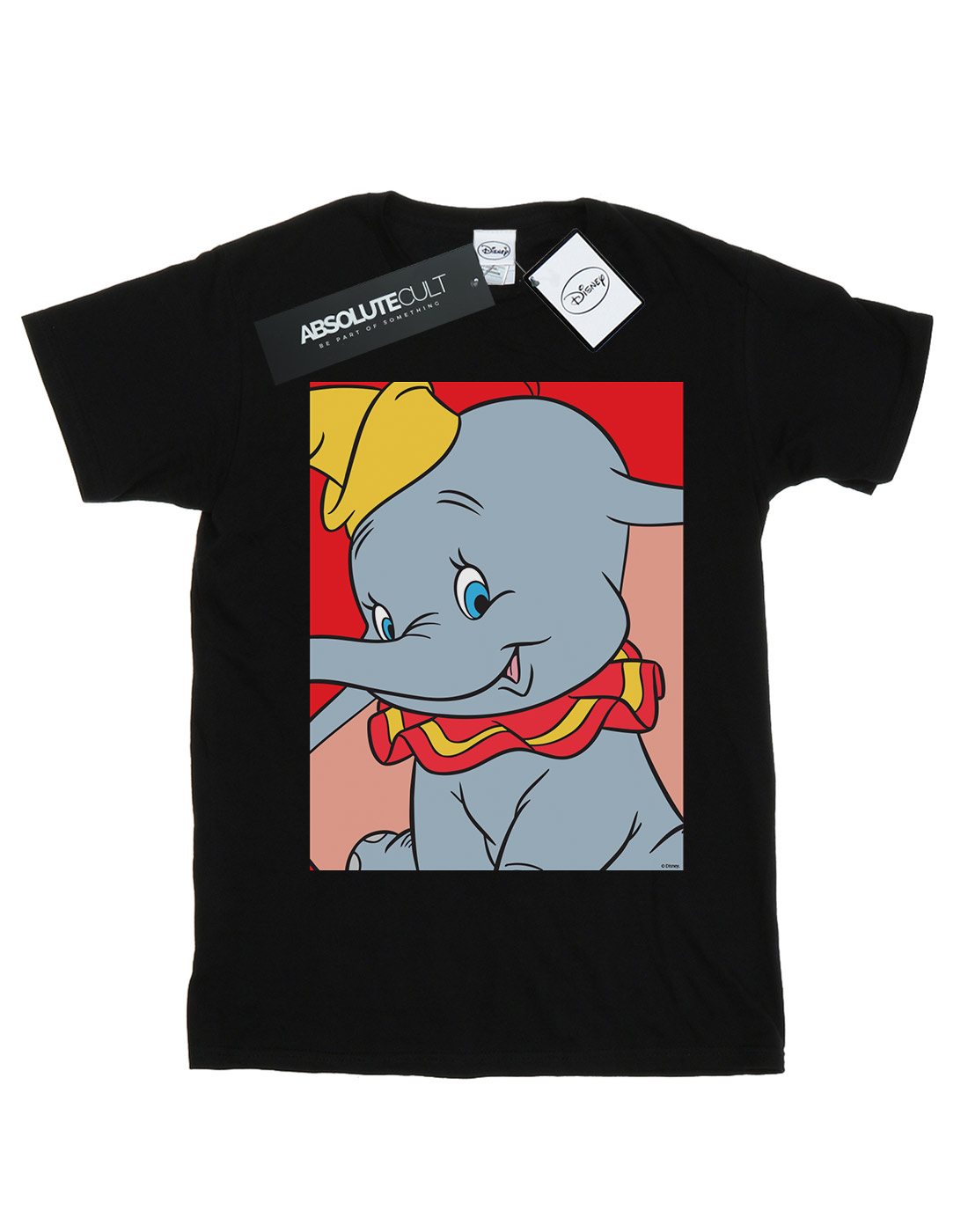 Ragazzi DISNEY DUMBO Ritratto T-shirt