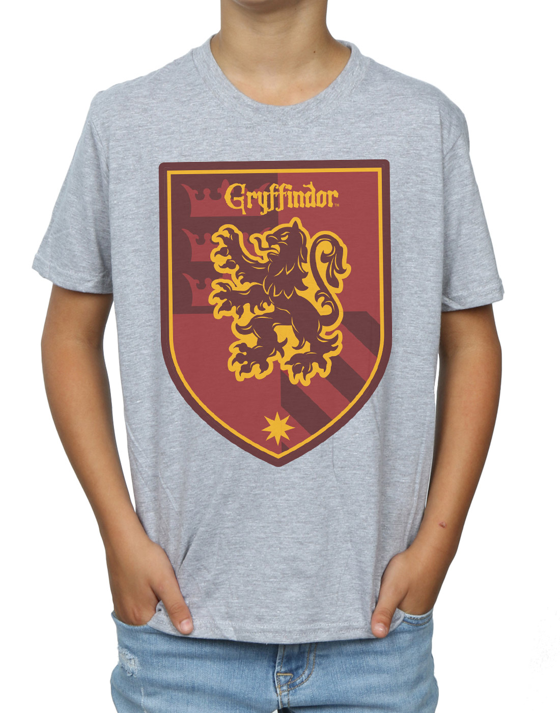 Harry Potter Boys Gryffindor Crest Flat T-Shirt