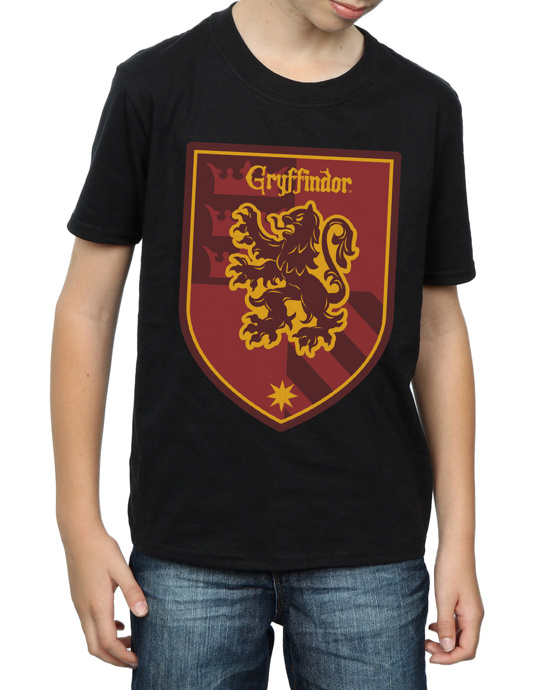 Harry Potter Boys Gryffindor Crest Flat T-Shirt
