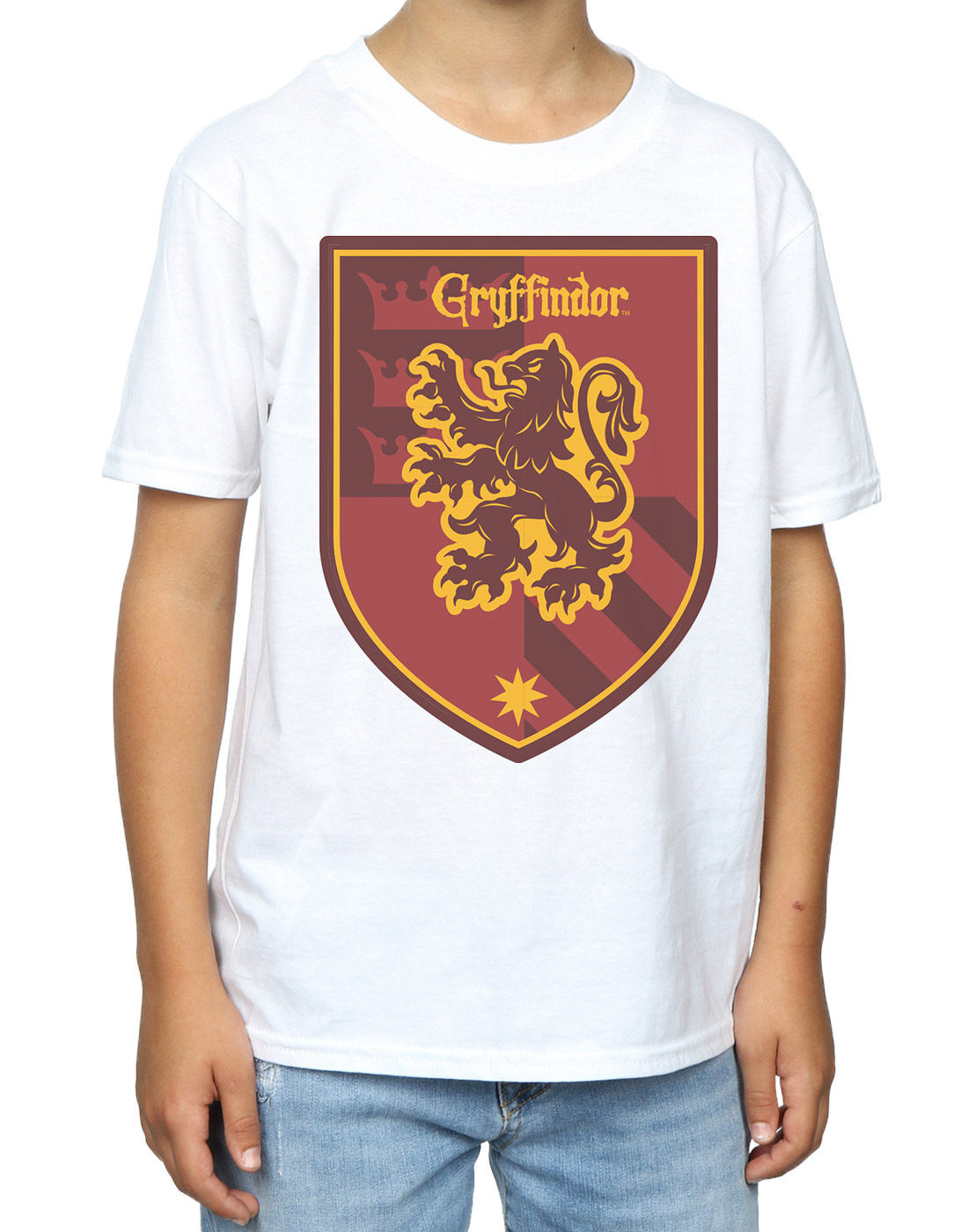 Harry Potter Boys Gryffindor Crest Flat T-Shirt