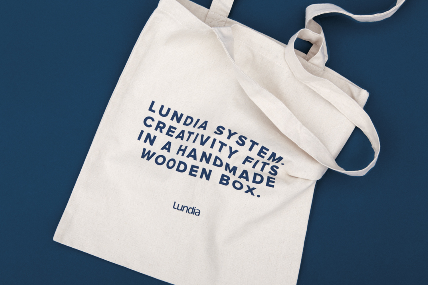 Agencyleroy Lundia System 119