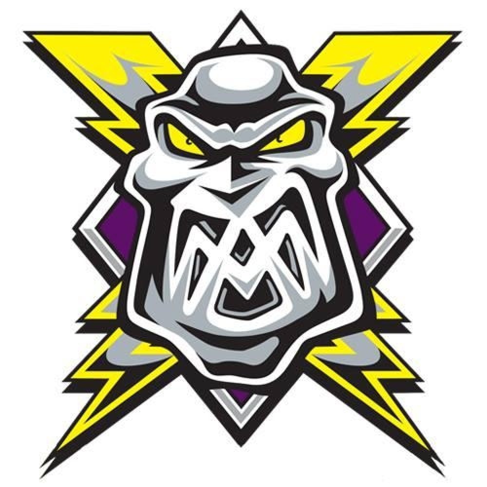 Manchester Storm VS Coventry Blaze