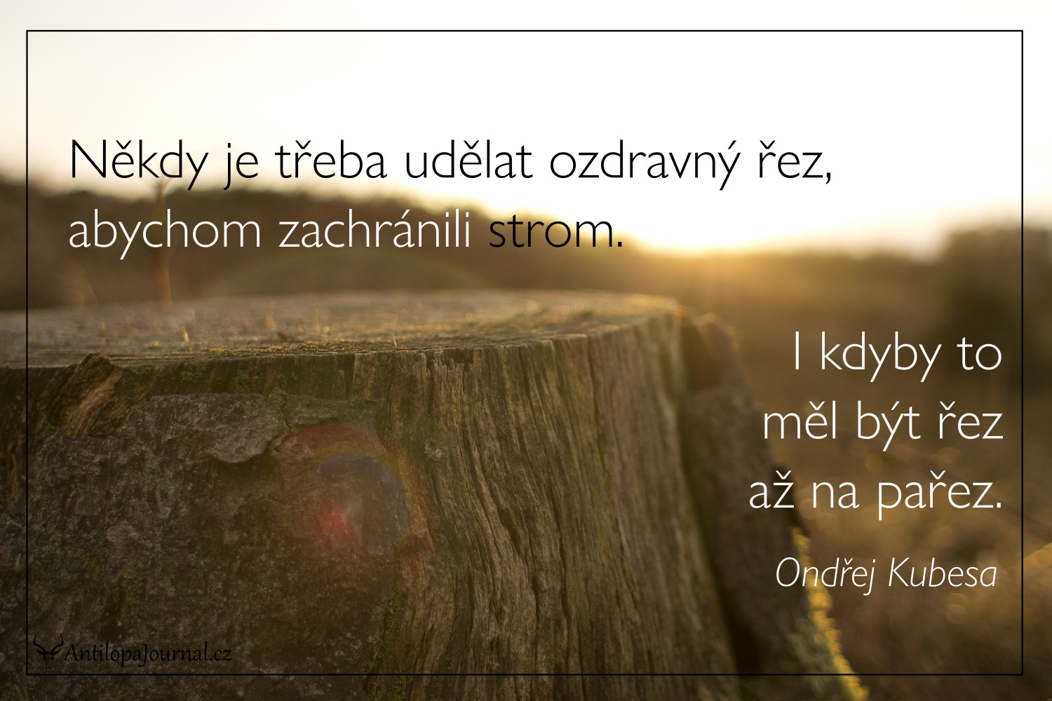 no12_L-cz