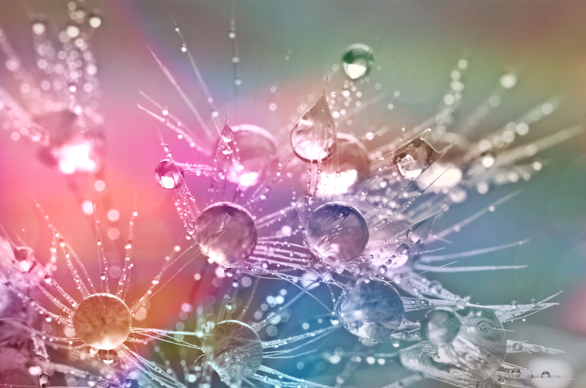 drop-of-water-862316_PX