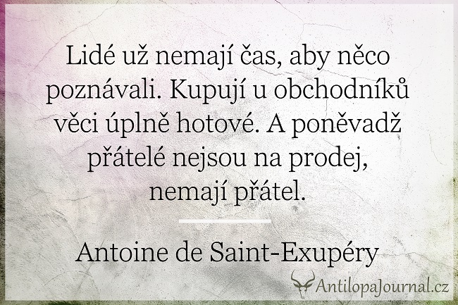 no44_L_cz