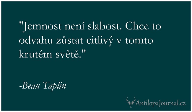 no50_L cz