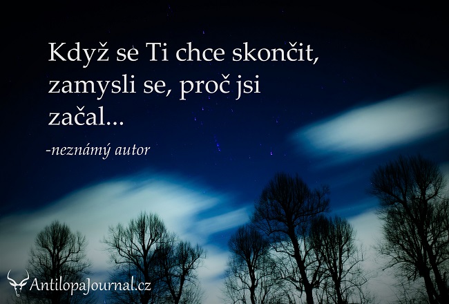 no51_L cz