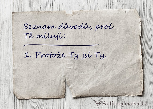 no53_L cz